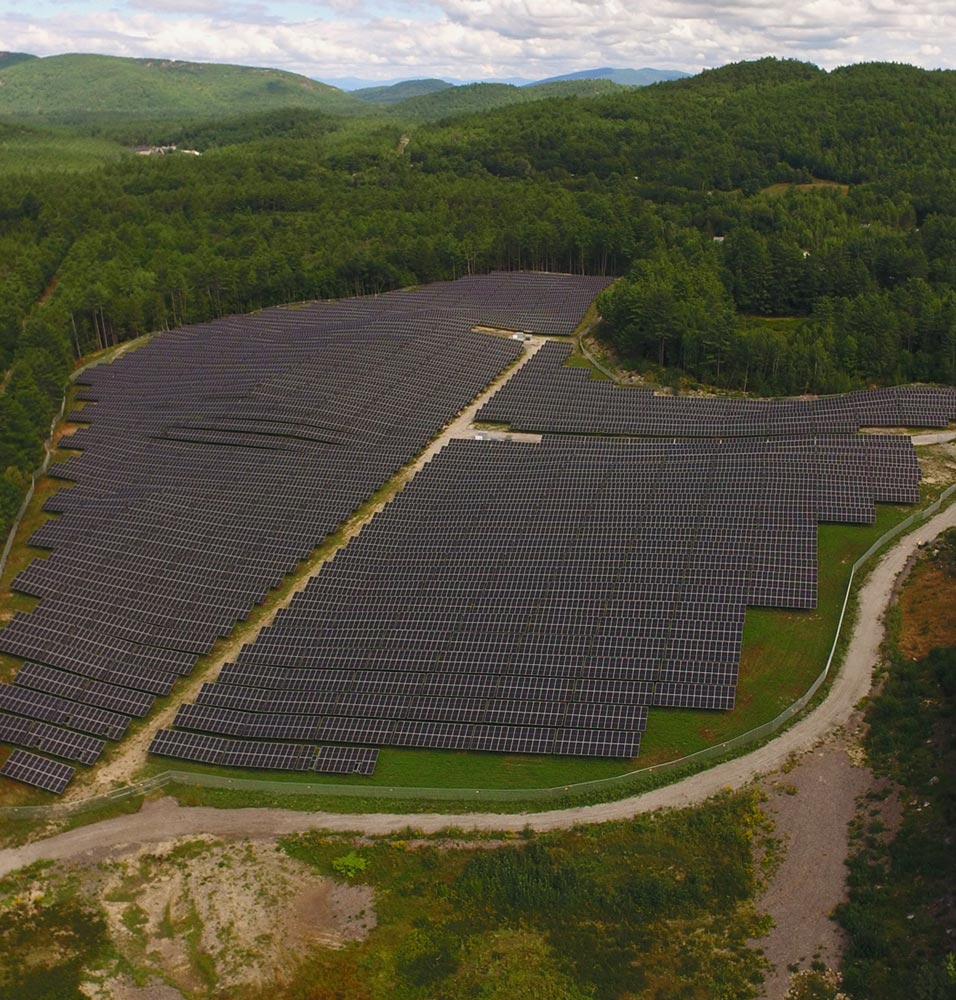 Huge field of solar panels surrounded by trees