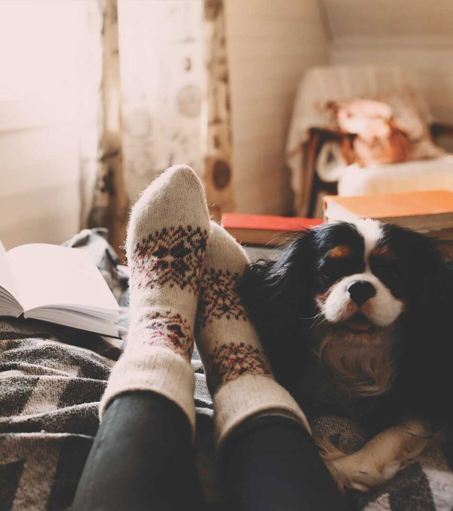 cozy winter socks and blankets with small dog